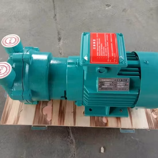 2BV-2bvc Liquid Ring Vacuum Pump with Compressor Motor Vacuum Filtration Pump in China