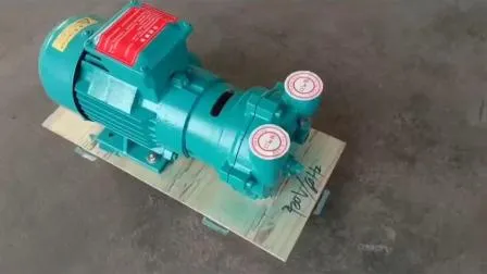 2BV-2bvc Liquid Ring Vacuum Pump with Compressor Motor Vacuum Filtration Pump in China